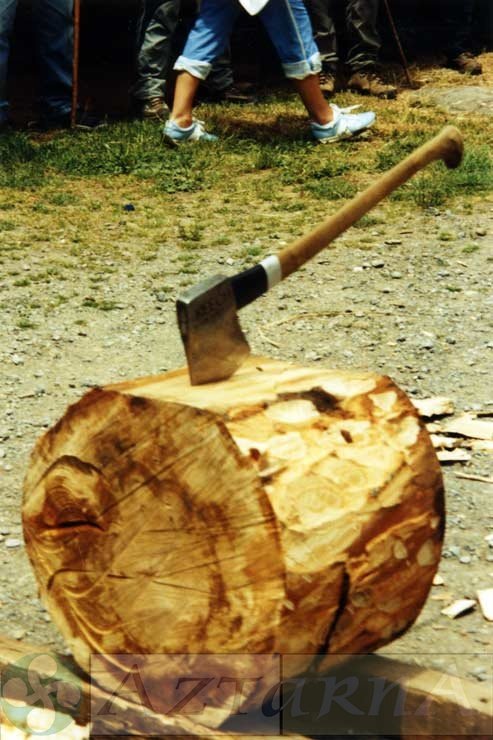 DEP 0192 Tronco y hacha.jpg