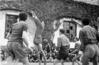 ESC 0074 Voleibol.jpg