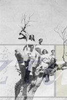 DEP 0032 LIB Amigos en un árbol.jpg