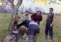 DEP 0263 La caza del jabalí.jpg