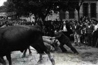 DEP 0037 LIB Arrastre de piedra en la plaza (1948).jpg